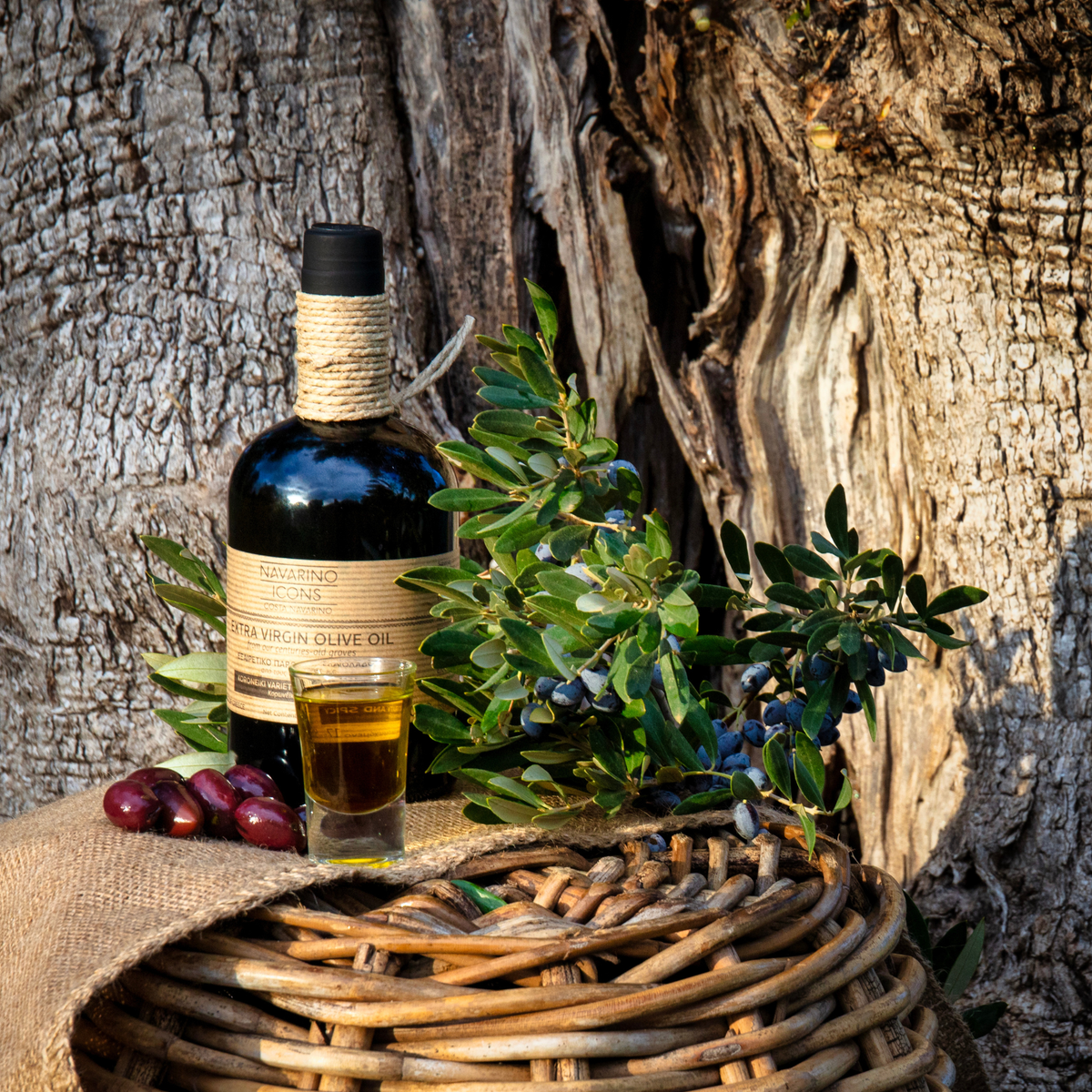 Huile d'olive extra vierge Navarino Icons