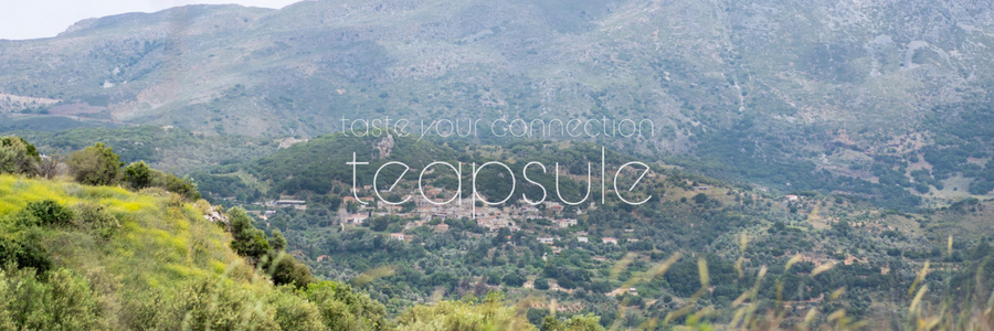 Teapsule