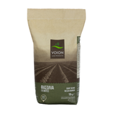 Giant Beans (Available for Preorder - Ships December 8th)