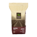 Medium Beans (Available for Preorder - Ships December 8th)